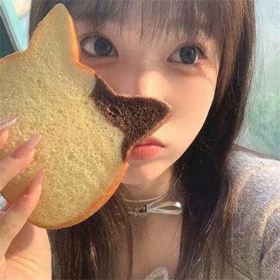 动物频道